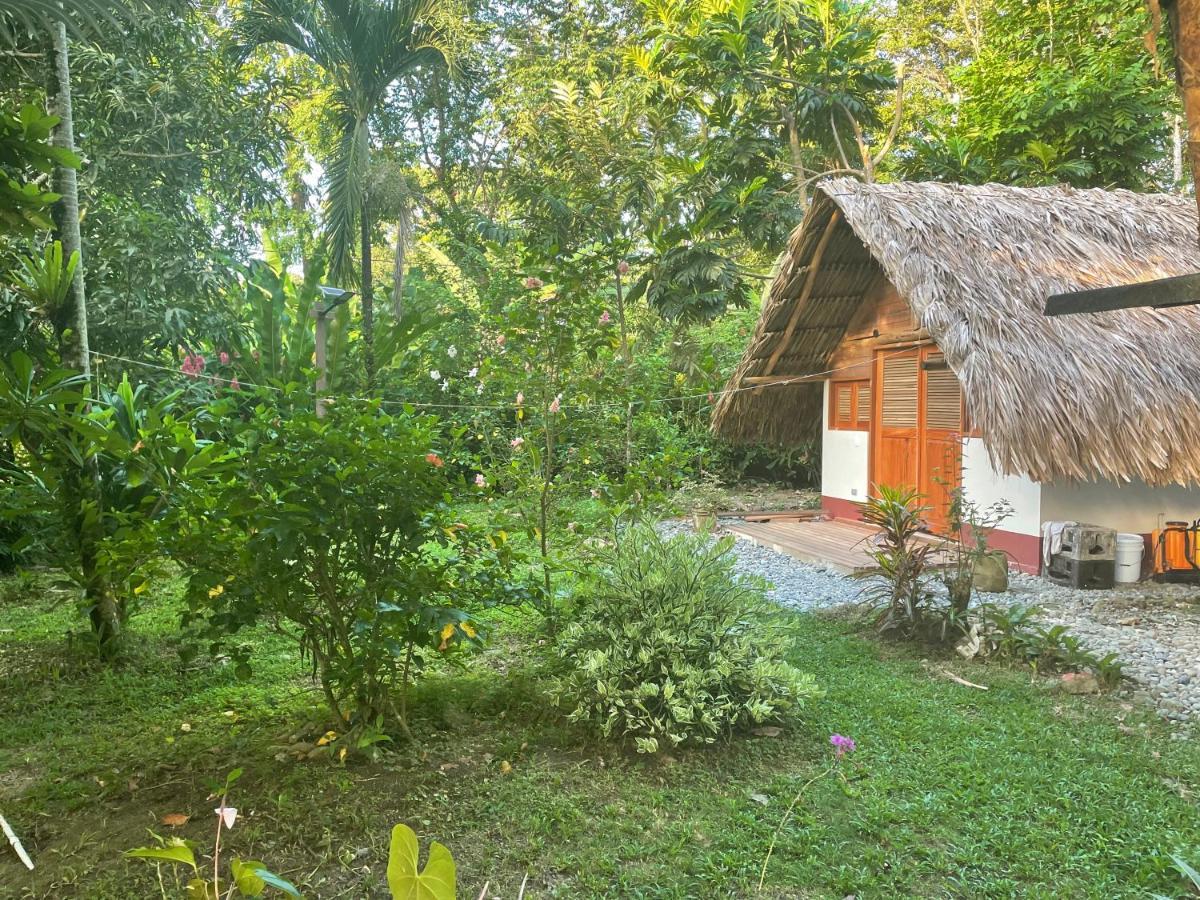 Cabanas Tucan Eco Hotel Capurganá Esterno foto
