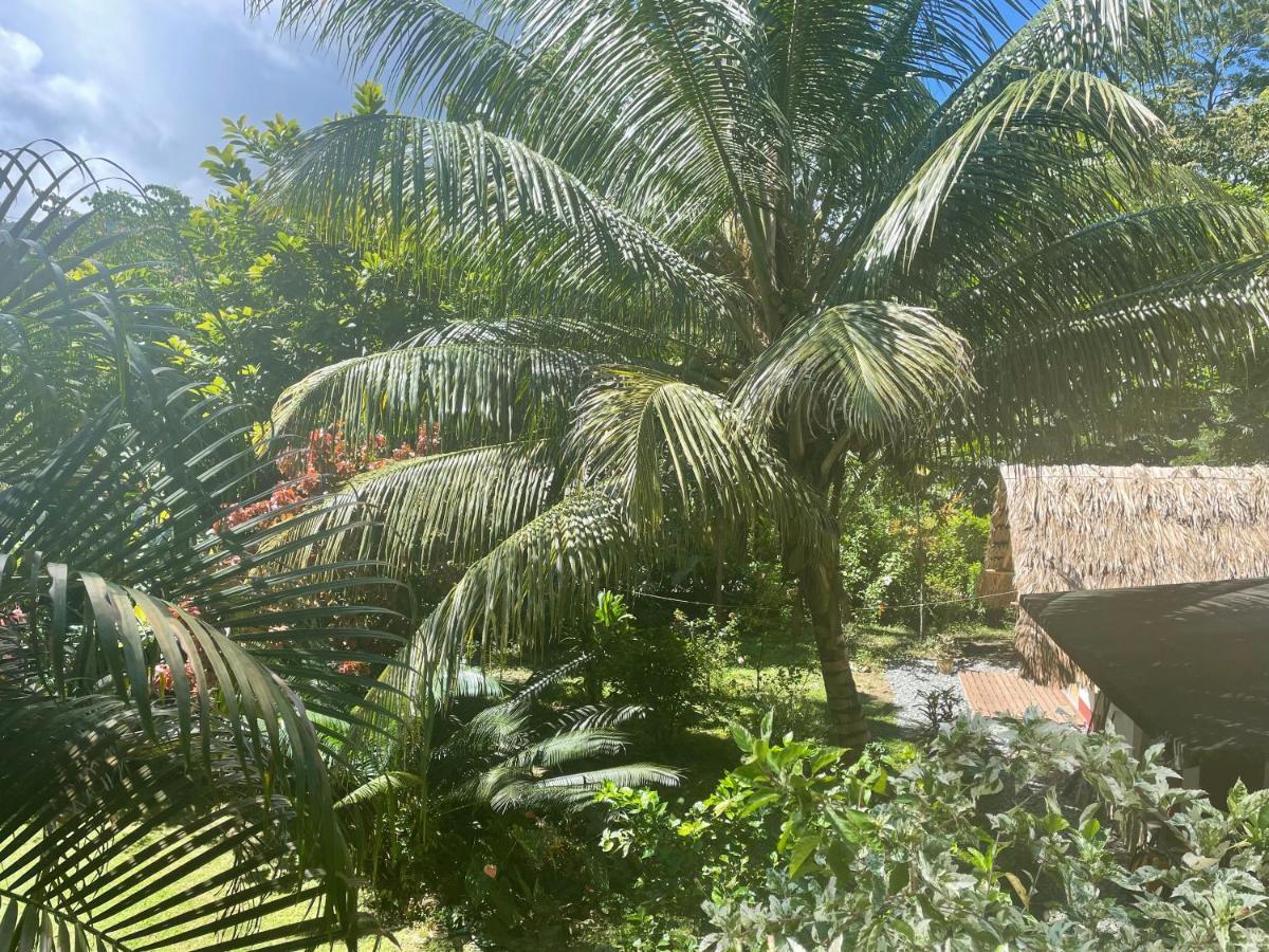 Cabanas Tucan Eco Hotel Capurganá Esterno foto